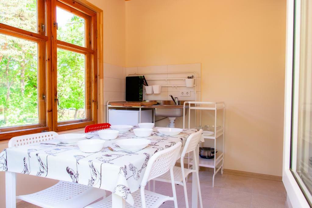 Hotel Vila Bohema Palanga - 4 Apartamentu Vila Kestucio G. 11 Zewnętrze zdjęcie