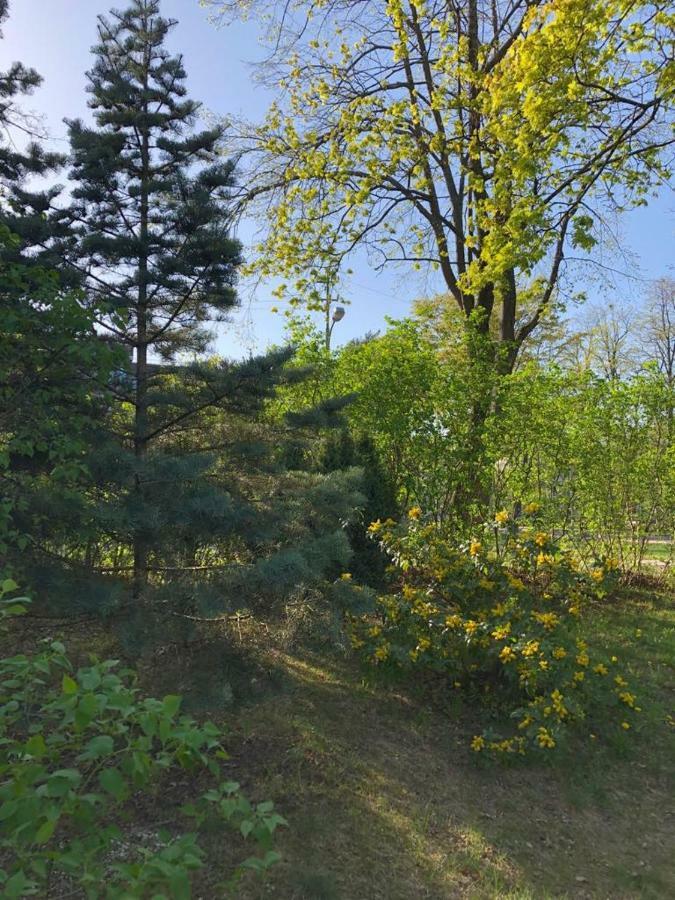 Hotel Vila Bohema Palanga - 4 Apartamentu Vila Kestucio G. 11 Zewnętrze zdjęcie